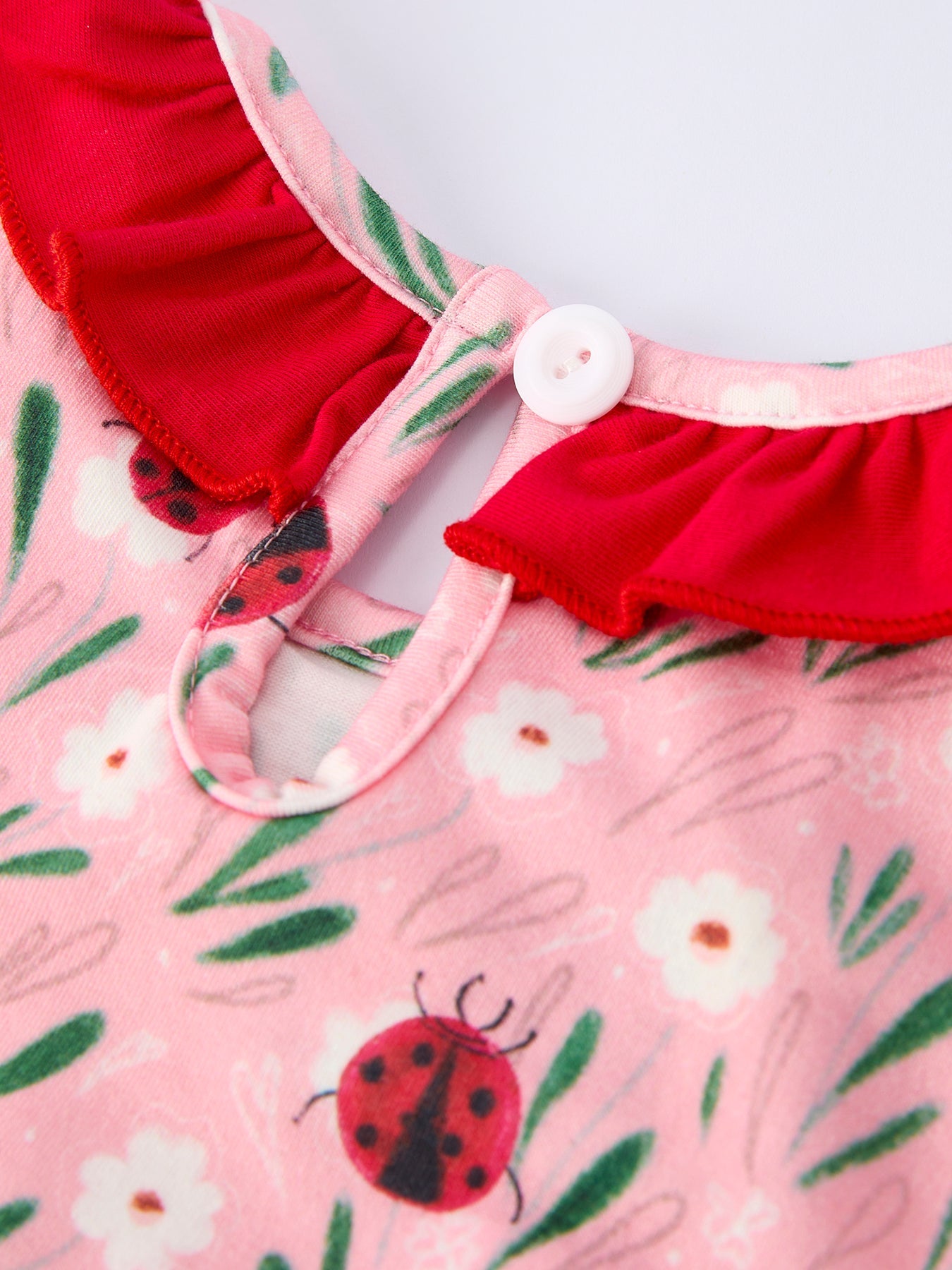 Spring Ladybug Smocked Embroidered Girls Dress