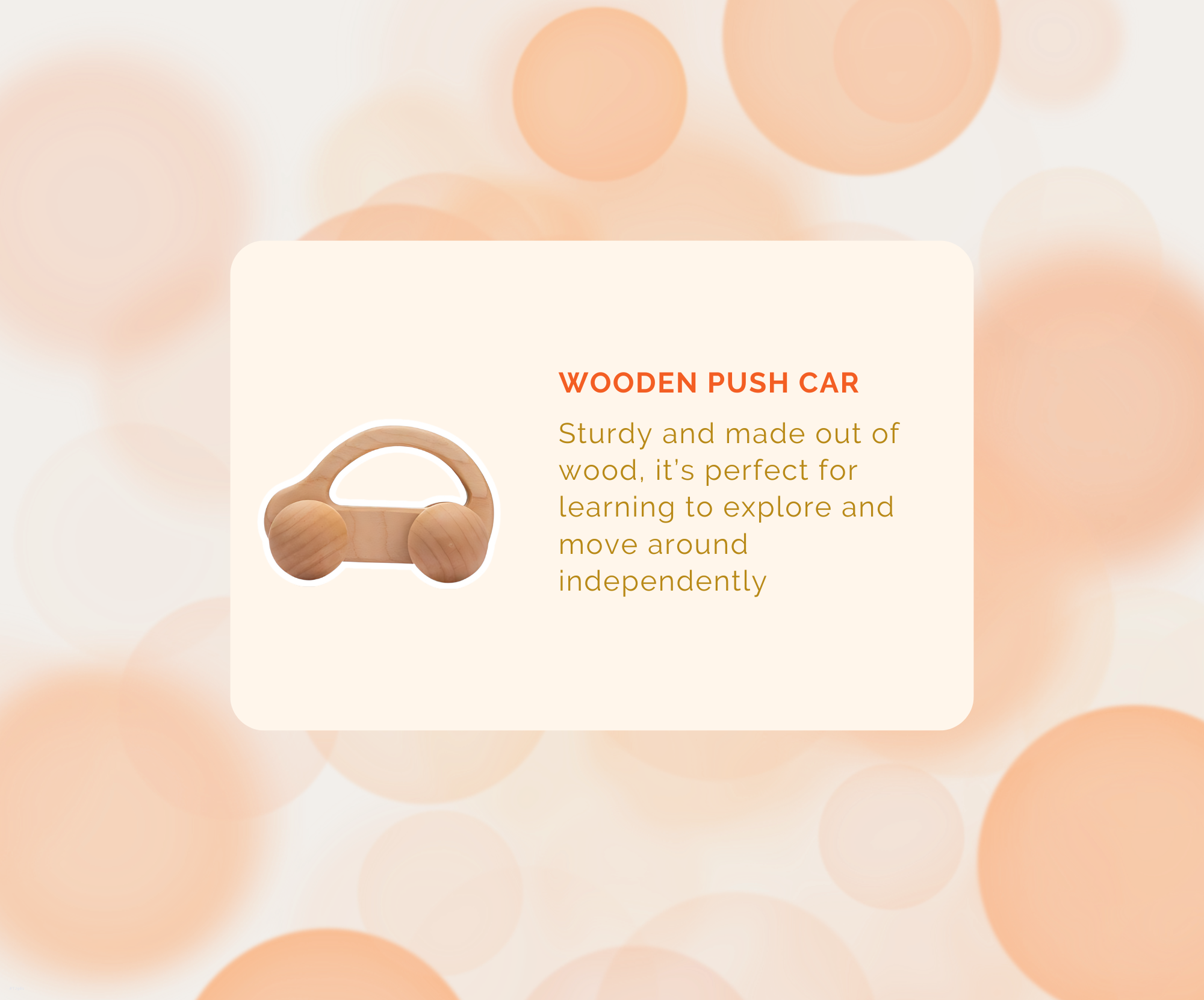 Montessori Educational Box (25-27 Months)